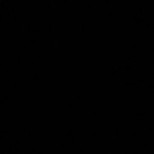 Meet your Posher, Ammara